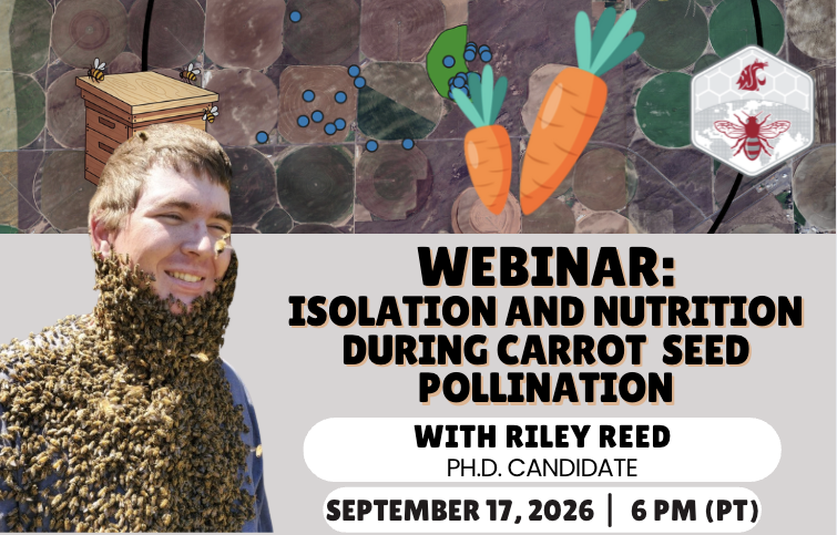 advertisement for webinar, decorative purpose only